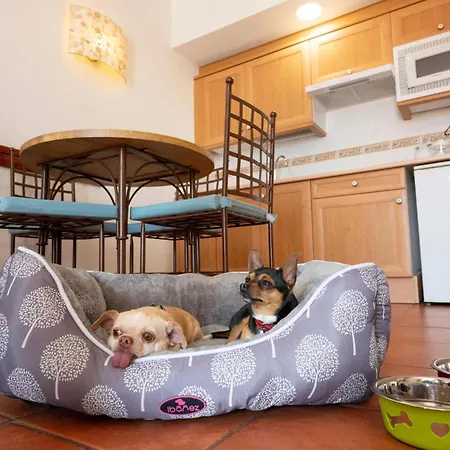 Hotel Gf Isabel Costa Adeje (Tenerife)